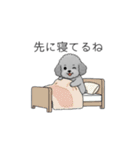 カップル・夫婦で使いやすいトイプードル②（個別スタンプ：31）