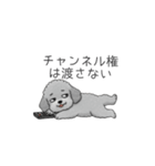 カップル・夫婦で使いやすいトイプードル②（個別スタンプ：33）