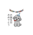 カップル・夫婦で使いやすいトイプードル②（個別スタンプ：34）