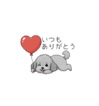 カップル・夫婦で使いやすいトイプードル②（個別スタンプ：39）