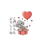 カップル・夫婦で使いやすいトイプードル②（個別スタンプ：40）