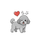 カップル・夫婦で使いやすいトイプードル①（個別スタンプ：1）