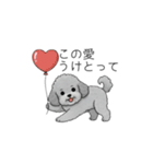 カップル・夫婦で使いやすいトイプードル①（個別スタンプ：4）