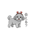 カップル・夫婦で使いやすいトイプードル①（個別スタンプ：5）