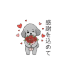カップル・夫婦で使いやすいトイプードル①（個別スタンプ：7）