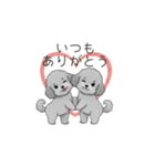 カップル・夫婦で使いやすいトイプードル①（個別スタンプ：8）