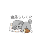 カップル・夫婦で使いやすいトイプードル①（個別スタンプ：16）