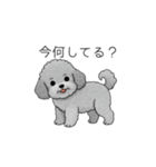 カップル・夫婦で使いやすいトイプードル①（個別スタンプ：17）