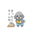 カップル・夫婦で使いやすいトイプードル①（個別スタンプ：18）