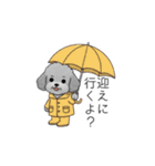 カップル・夫婦で使いやすいトイプードル①（個別スタンプ：20）