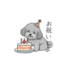 カップル・夫婦で使いやすいトイプードル①（個別スタンプ：24）