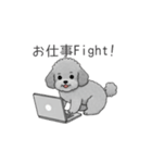 カップル・夫婦で使いやすいトイプードル①（個別スタンプ：25）