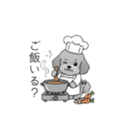 カップル・夫婦で使いやすいトイプードル①（個別スタンプ：28）