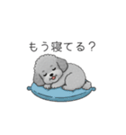 カップル・夫婦で使いやすいトイプードル①（個別スタンプ：32）