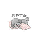 カップル・夫婦で使いやすいトイプードル①（個別スタンプ：33）