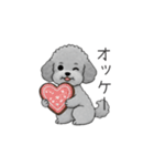 カップル・夫婦で使いやすいトイプードル①（個別スタンプ：34）