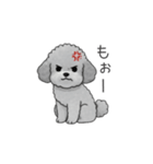 カップル・夫婦で使いやすいトイプードル①（個別スタンプ：36）