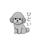 カップル・夫婦で使いやすいトイプードル①（個別スタンプ：38）