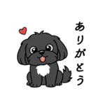 使い易いシープーの普段使いの優しい会話2（個別スタンプ：3）