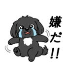 使い易いシープーの普段使いの優しい会話2（個別スタンプ：6）