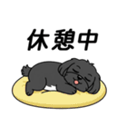 使い易いシープーの普段使いの優しい会話2（個別スタンプ：21）