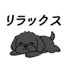 使い易いシープーの普段使いの優しい会話2（個別スタンプ：23）