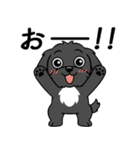 使い易いシープーの普段使いの優しい会話2（個別スタンプ：25）