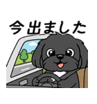 使い易いシープーの普段使いの優しい会話2（個別スタンプ：32）