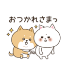 わん×にゃんカップル♡彼氏用（個別スタンプ：4）