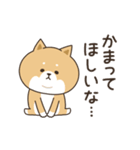 わん×にゃんカップル♡彼氏用（個別スタンプ：10）