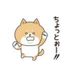 わん×にゃんカップル♡彼氏用（個別スタンプ：16）