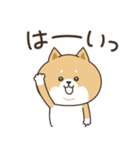 わん×にゃんカップル♡彼氏用（個別スタンプ：28）