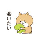 わん×にゃんカップル♡彼氏用（個別スタンプ：33）