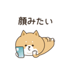 わん×にゃんカップル♡彼氏用（個別スタンプ：35）