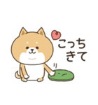 わん×にゃんカップル♡彼氏用（個別スタンプ：36）