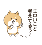 わん×にゃんカップル♡彼氏用（個別スタンプ：40）