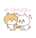 わん×にゃんカップル♡彼女用（個別スタンプ：4）