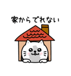 ぷるねこちゃーんやる気ないシンプルかも（個別スタンプ：6）