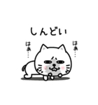 ぷるねこちゃーんやる気ないシンプルかも（個別スタンプ：15）