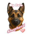 パぁ～ちゃんの癒まくりスタンプ♡（個別スタンプ：1）