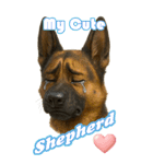 パぁ～ちゃんの癒まくりスタンプ♡（個別スタンプ：3）