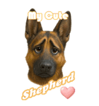 パぁ～ちゃんの癒まくりスタンプ♡（個別スタンプ：4）