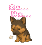 パぁ～ちゃんの癒まくりスタンプ♡（個別スタンプ：34）