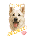 パぁ～ちゃんの癒まくりスタンプ♡（個別スタンプ：35）