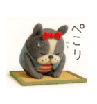 mottoの4匹のDD物語♡毎日（個別スタンプ：31）