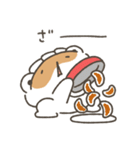 【再販/修正版】餃子のたぬき 年末年始編（個別スタンプ：40）