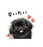 毎日使える大人可愛い黒ペキニーズ（個別スタンプ：5）