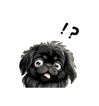 毎日使える大人可愛い黒ペキニーズ（個別スタンプ：6）