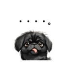 毎日使える大人可愛い黒ペキニーズ（個別スタンプ：7）