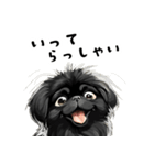 毎日使える大人可愛い黒ペキニーズ（個別スタンプ：9）
